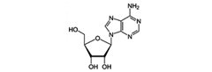 아데노신