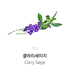 클라리세이지